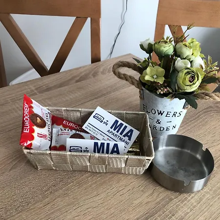 Apartment Mia - Novoizgradjeni Objekat *